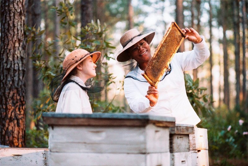 THE SECRET LIFE OF BEES « Living Life…Boomer Style